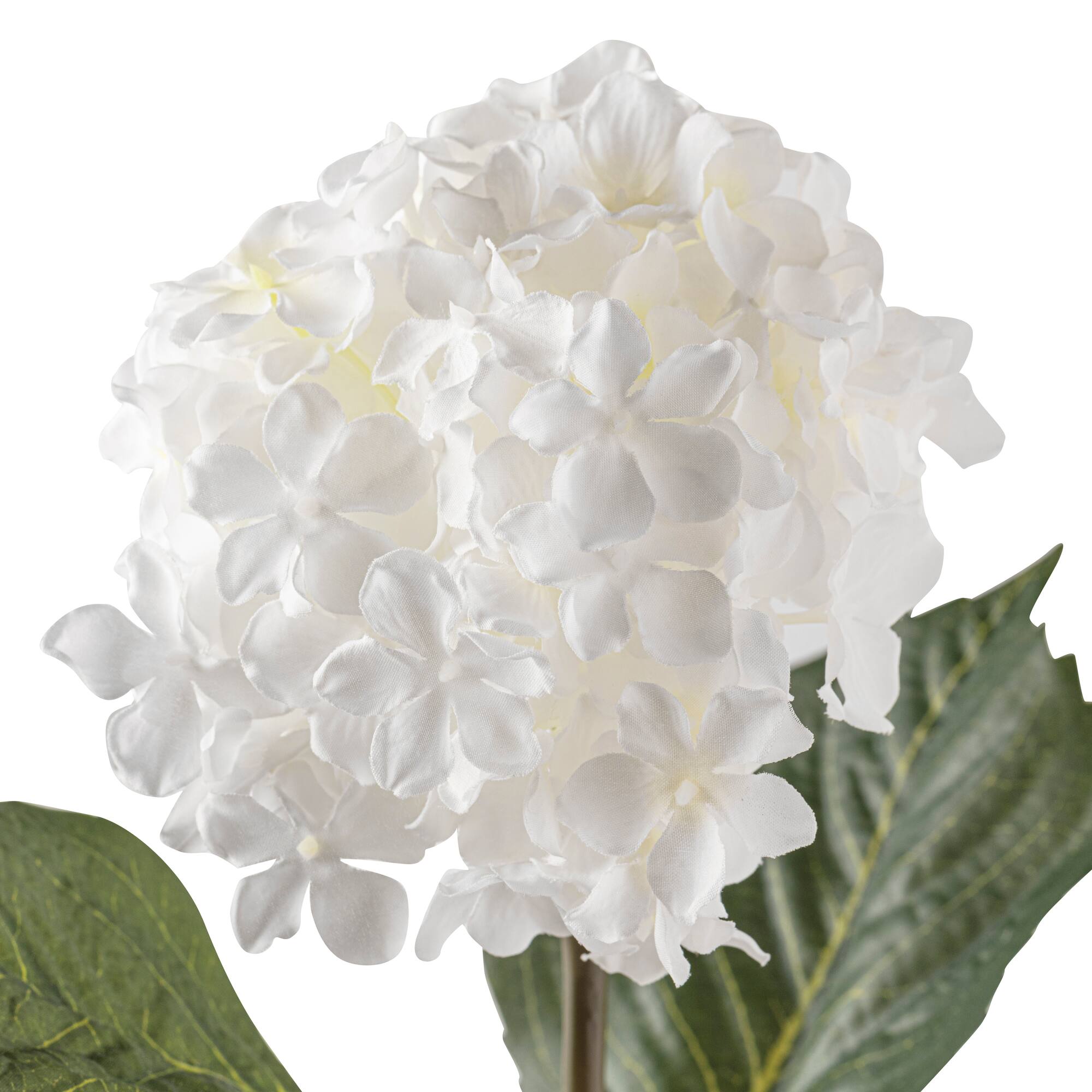 12 Pack: White Hydrangea Spray by Ashland®
